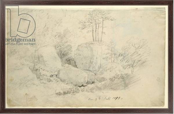 Постер Boulders in Woodland, 1800 с типом исполнения На холсте в раме в багетной раме 221-02