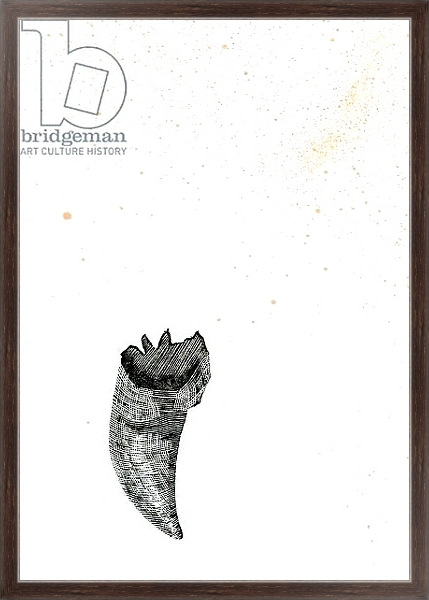 Постер Tooth {Fay-erie Dust}, 2014 с типом исполнения На холсте в раме в багетной раме 221-02