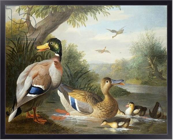 Постер Ducks in a River Landscape с типом исполнения На холсте в раме в багетной раме 221-01