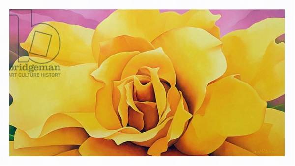 Постер The Golden Rose, 2004 с типом исполнения На холсте в раме в багетной раме 221-03