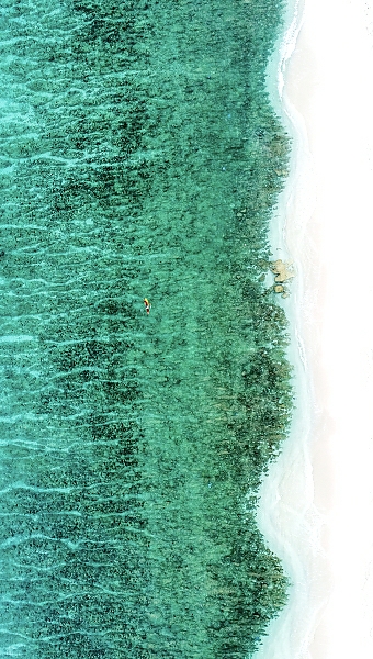 Постер Одинокий серфер на пустынном белом пляже с типом исполнения На холсте без рамы
