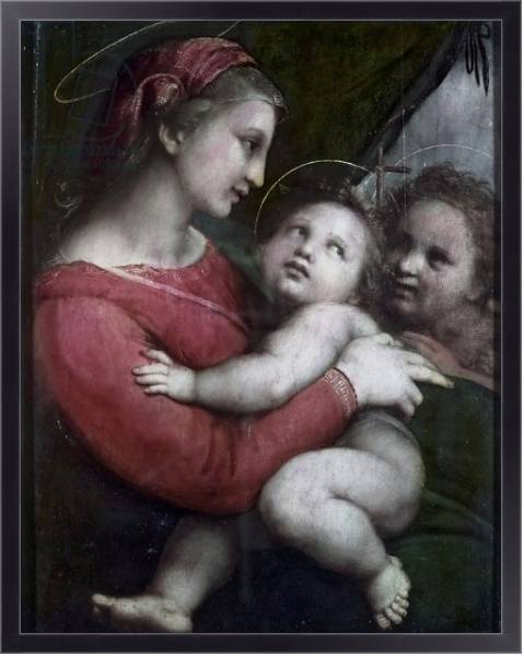 Постер Madonna della Tenda, c.1512 с типом исполнения На холсте в раме в багетной раме 221-01