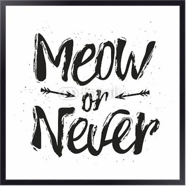 Постер Meow or never с типом исполнения На холсте в раме в багетной раме 221-01