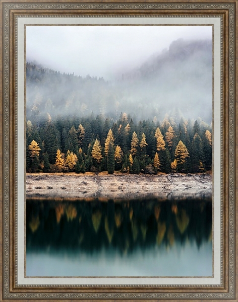 Постер Осенний лес в отражении воды с типом исполнения На холсте в раме в багетной раме 595.M52.330