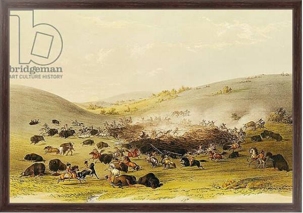 Постер Buffalo Hunt, Surround, c.1832 с типом исполнения На холсте в раме в багетной раме 221-02