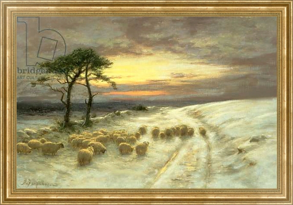 Постер Sheep in the Snow 1 с типом исполнения На холсте в раме в багетной раме NA033.1.051
