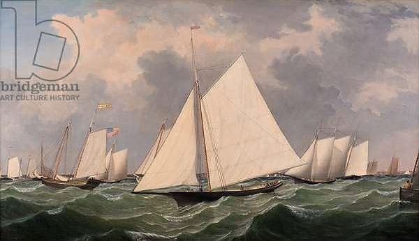 Постер New York Yacht Club Regatta, 1856 с типом исполнения На холсте без рамы