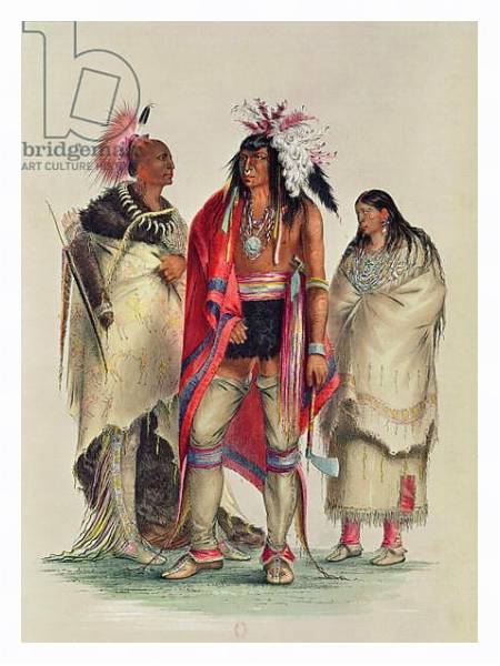 Постер North American Indians, c.1832 с типом исполнения На холсте в раме в багетной раме 221-03