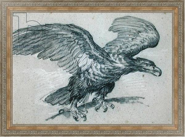 Постер An Eagle, 1811 с типом исполнения На холсте в раме в багетной раме 484.M48.310