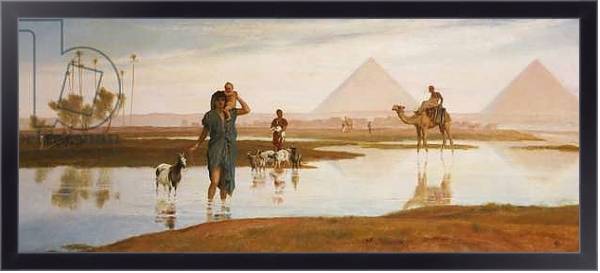 Постер Overflow of the Nile, with the Pyramids с типом исполнения На холсте в раме в багетной раме 221-01