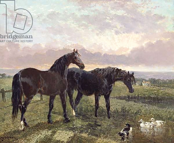 Постер Two horses grazing at sunset с типом исполнения На холсте без рамы