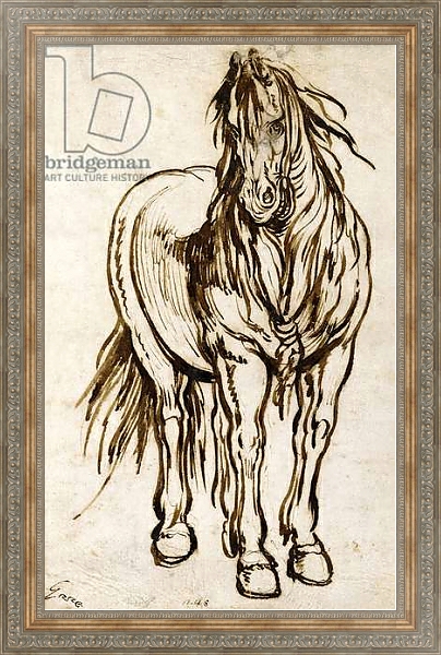 Постер Study of a Horse, с типом исполнения На холсте в раме в багетной раме 484.M48.310