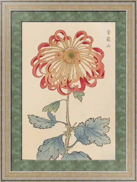 Постер Keika hyakugiku, Pl.08 с типом исполнения Акварель в раме в багетной раме 485.M40.584