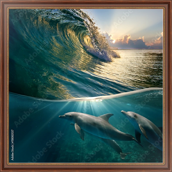 Постер Стайка дельфинов под волной с типом исполнения На холсте в раме в багетной раме 35-M719P-83