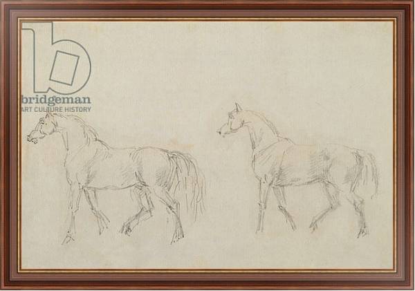 Постер Two horses walking left с типом исполнения На холсте в раме в багетной раме 35-M719P-83