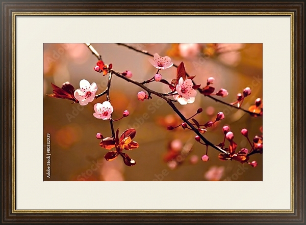 Постер Ветки цветущей сакуры в красных оттенках с типом исполнения Под стеклом в багетной раме 1.023.036