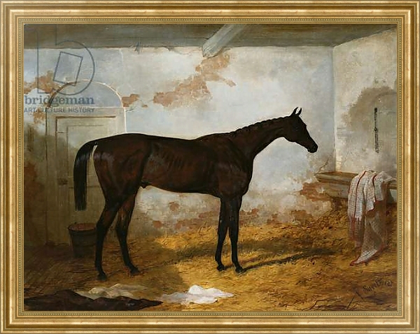 Постер Mr A.W. Hill's Bay Colt 'Sweetmeat' in a Loose Box, 1845 с типом исполнения На холсте в раме в багетной раме NA033.1.051