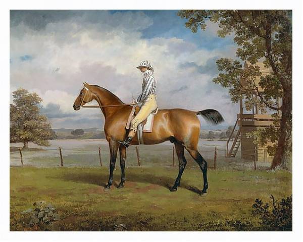 Постер Portrait of a Racehorse Possibly Disguise with Jockey Up с типом исполнения На холсте в раме в багетной раме 221-03