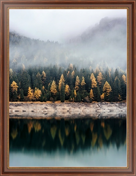 Постер Осенний лес в отражении воды с типом исполнения На холсте в раме в багетной раме 35-M719P-83