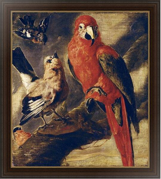 Постер Macaw and Bullfinch с типом исполнения На холсте в раме в багетной раме 1.023.151