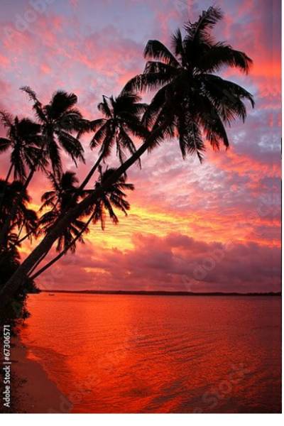 Постер Силуэт пальмовых деревьев на пляже на закате, острова Офу, Тонга с типом исполнения На холсте без рамы
