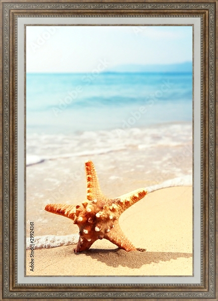 Постер Морская звезда на морском пляже с типом исполнения На холсте в раме в багетной раме 595.M52.330