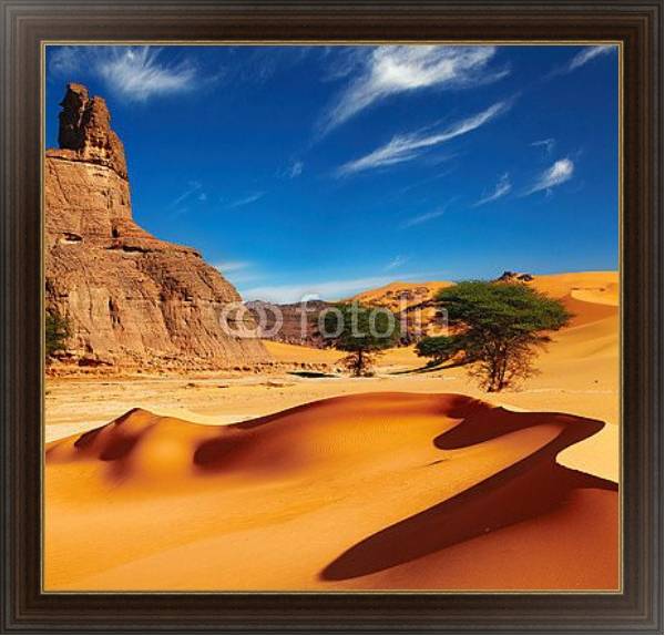 Постер Пустыня Сахара, Алжир с типом исполнения На холсте в раме в багетной раме 1.023.151