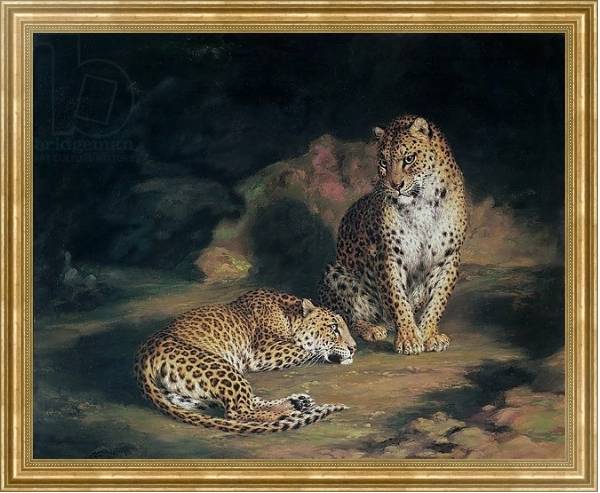 Постер A Pair of Leopards, 1845 с типом исполнения На холсте в раме в багетной раме NA033.1.051