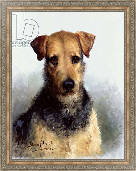 Постер Wire Fox Terrier, 1933 с типом исполнения На холсте в раме в багетной раме 484.M48.310