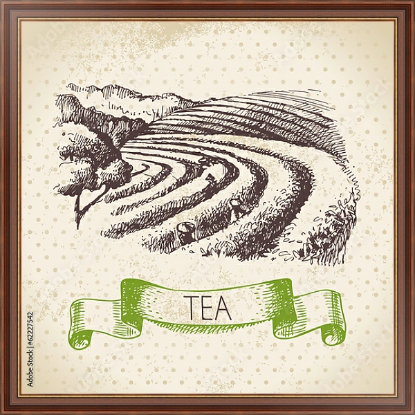 Постер Иллюстрация с чайными плантациями с типом исполнения На холсте в раме в багетной раме 35-M719P-83