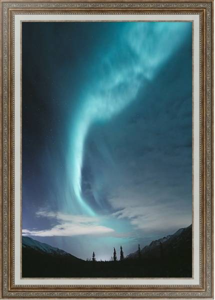 Постер Голубое полярное сияние над лесом с типом исполнения На холсте в раме в багетной раме 595.M52.330