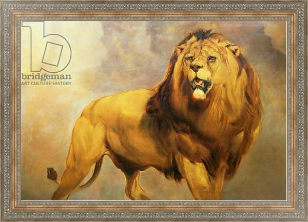 Постер Lion 1 с типом исполнения На холсте в раме в багетной раме 484.M48.310