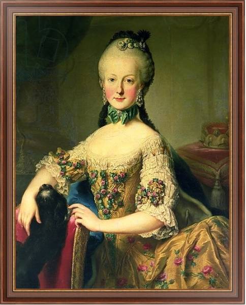 Постер Archduchess Maria Elisabeth Habsburg-Lothringen с типом исполнения На холсте в раме в багетной раме 35-M719P-83