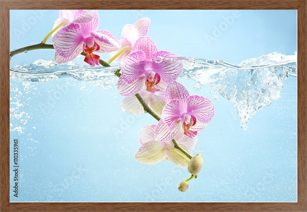 Постер Орхидея в воде с типом исполнения На холсте в раме в багетной раме 1727.4310