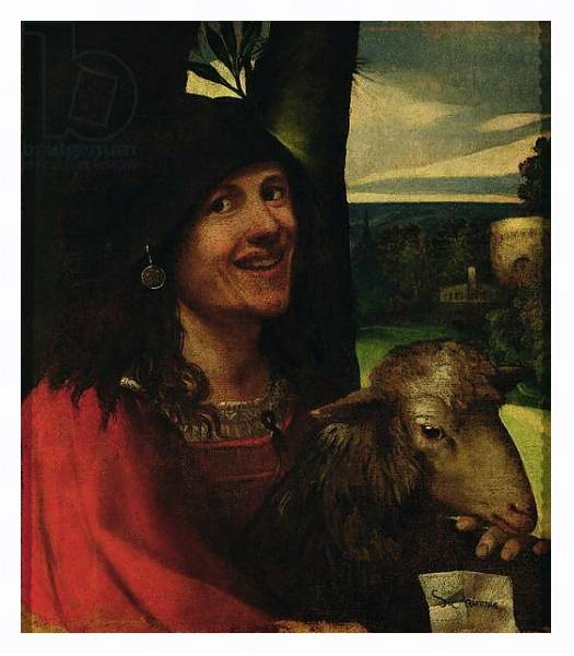 Постер Portrait of a Court Jester с типом исполнения На холсте в раме в багетной раме 221-03