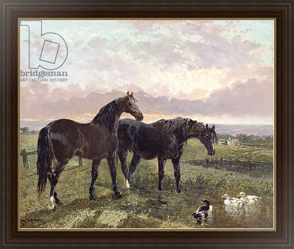 Постер Two horses grazing at sunset с типом исполнения На холсте в раме в багетной раме 1.023.151