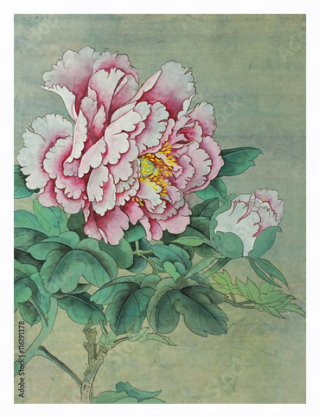 Постер Нежно-розовый цветок пиона с бутоном  с типом исполнения На холсте в раме в багетной раме 221-03