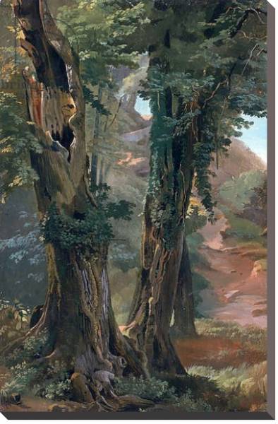 Постер Old Elms, c.1835 с типом исполнения На холсте без рамы
