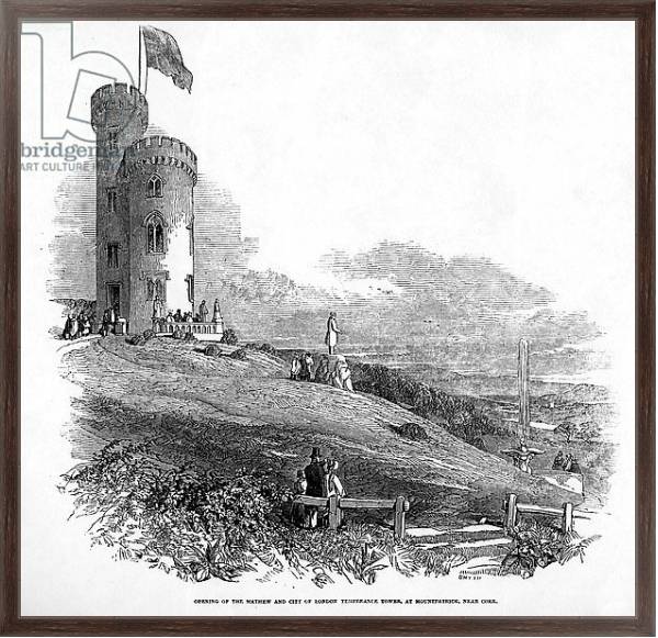 Постер Opening of the Mathew and City of London Temperance Tower, at Mount Patrick, near Cork, 1846 с типом исполнения На холсте в раме в багетной раме 221-02