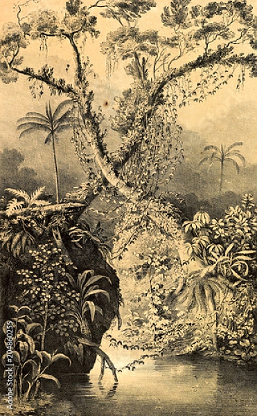Постер Природа Южной Америки 8 с типом исполнения На холсте без рамы