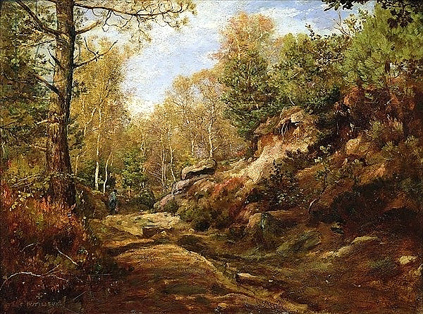 Постер Pines and Birch Trees or, The Forest of Fontainebleau, c.1855-57 с типом исполнения На холсте без рамы