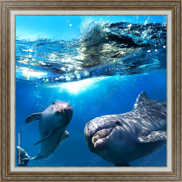 Постер Два дельфина под водой с типом исполнения На холсте в раме в багетной раме 595.M52.330