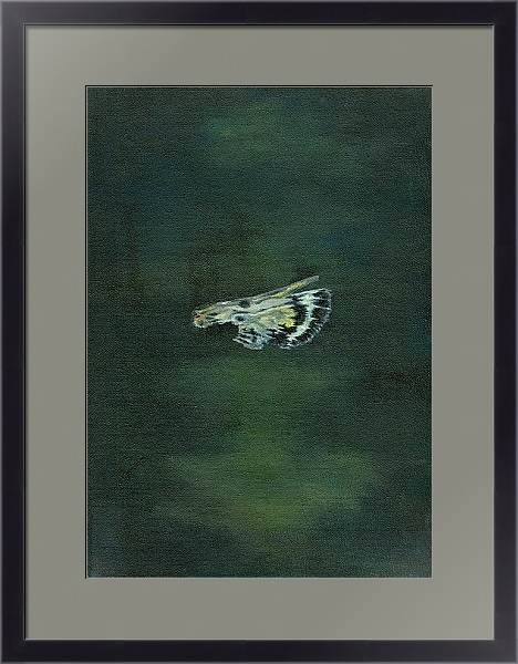 Постер Moth Wing, 2014, с типом исполнения Под стеклом в багетной раме 221-01