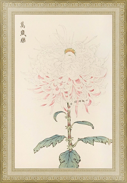 Постер Keika hyakugiku, Pl.38 с типом исполнения Акварель в раме в багетной раме 484.M48.725