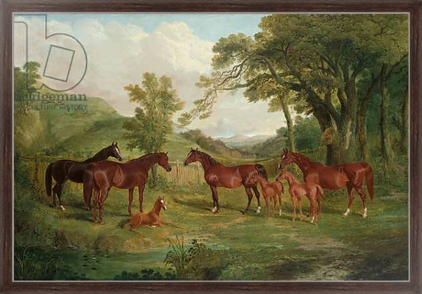 Постер The Streatlam Stud, Mares and Foals, 1836 с типом исполнения На холсте в раме в багетной раме 221-02