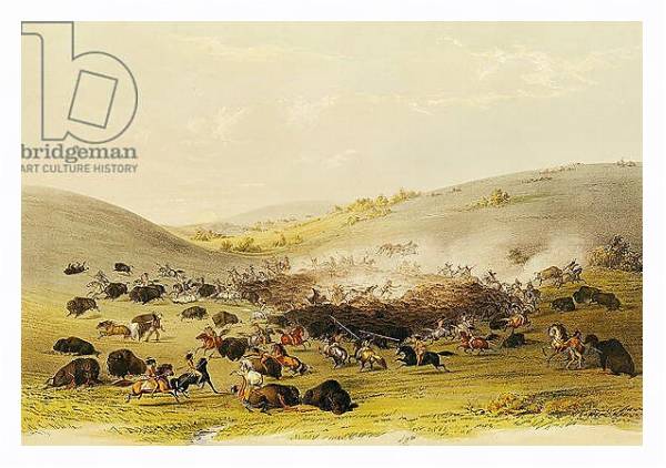 Постер Buffalo Hunt, Surround, c.1832 с типом исполнения На холсте в раме в багетной раме 221-03