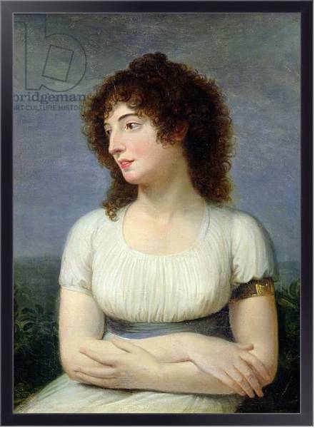 Постер Laure de Guesnon de Bonneuil, Countess Regnaud de Saint-Jean d'Angely с типом исполнения На холсте в раме в багетной раме 221-01