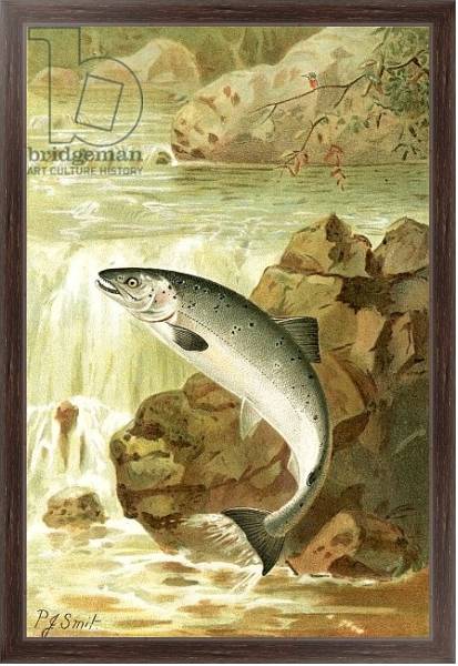 Постер A Salmon leap с типом исполнения На холсте в раме в багетной раме 221-02