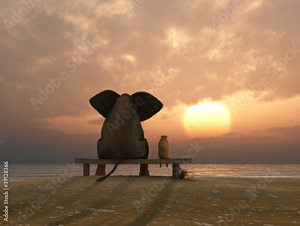 Постер Слон и собака на летнем пляже с типом исполнения На холсте без рамы