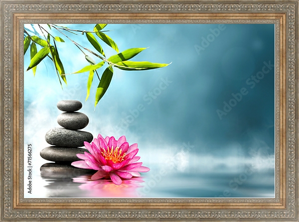 Постер Кувшинка. камни и бамбук с типом исполнения На холсте в раме в багетной раме 484.M48.310
